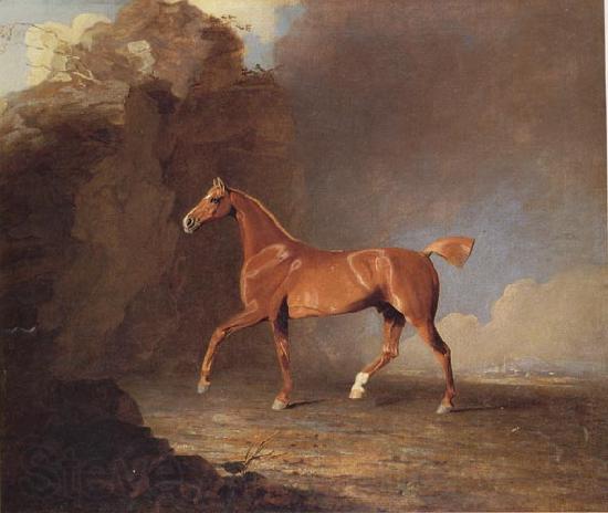 Benjamin Marshall A Golden Chestnut Racehorse by a Rock Formation With a Town Beyond Germany oil painting art
